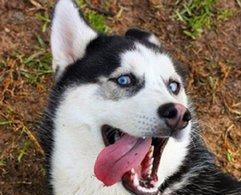 每次看手机一小时后一定要停下来休息10~30分钟哦 行走的表情包,让人