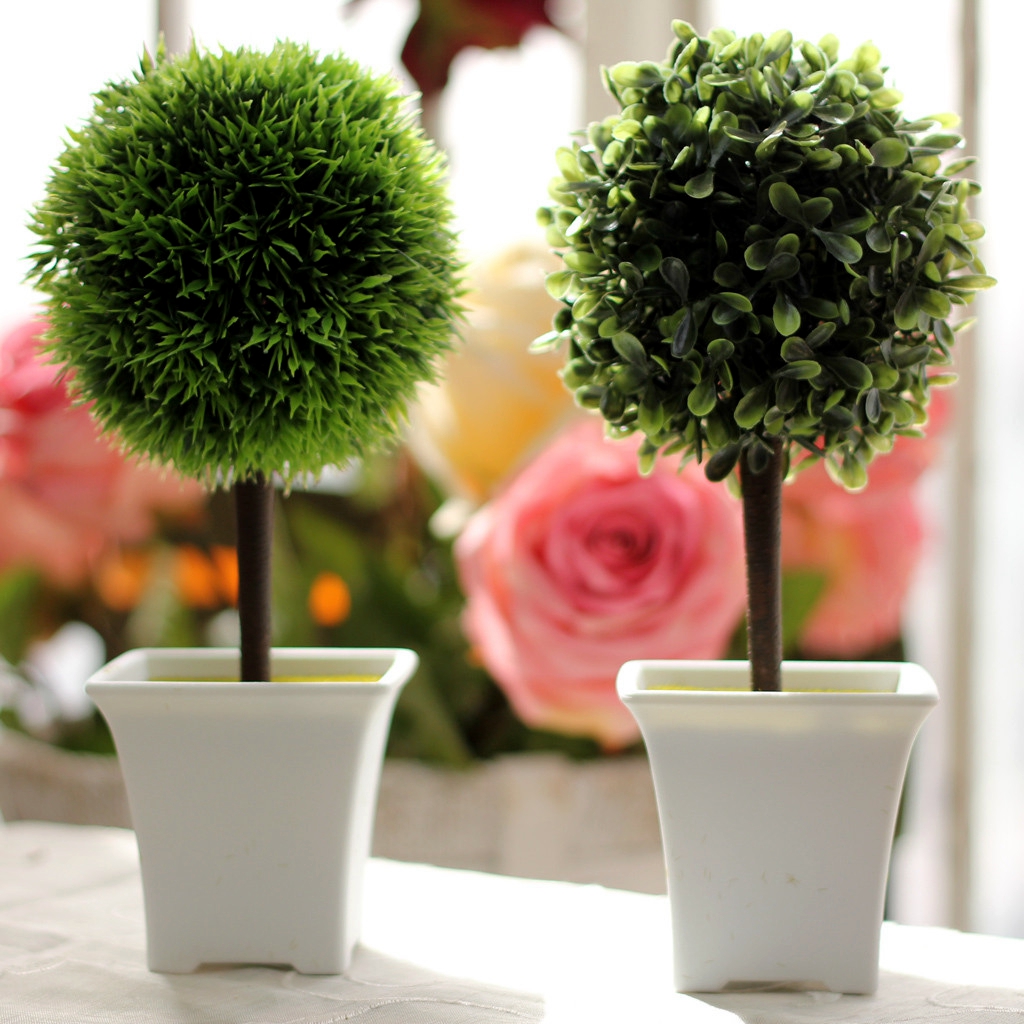 家庭盆栽植物大全图片(家庭盆栽植物大全图片欣赏)