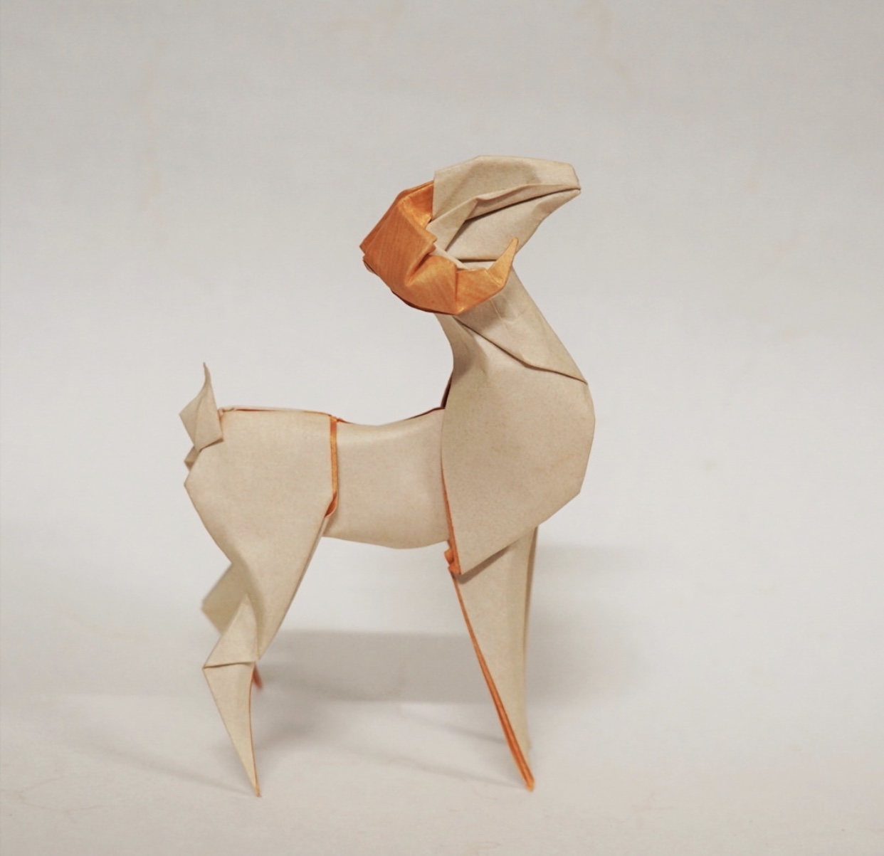 惟妙惟肖的折纸艺术图片越南艺术家hoàngtiénquyét