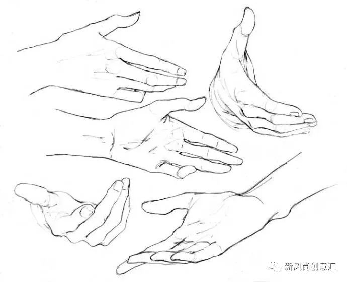 【动漫教程】初学者手部绘画教程,动漫线稿。