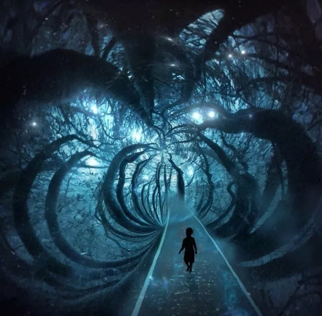 心理测试:你会置身在哪一个森林梦境,测你有着什么样的性格品质|梦境|