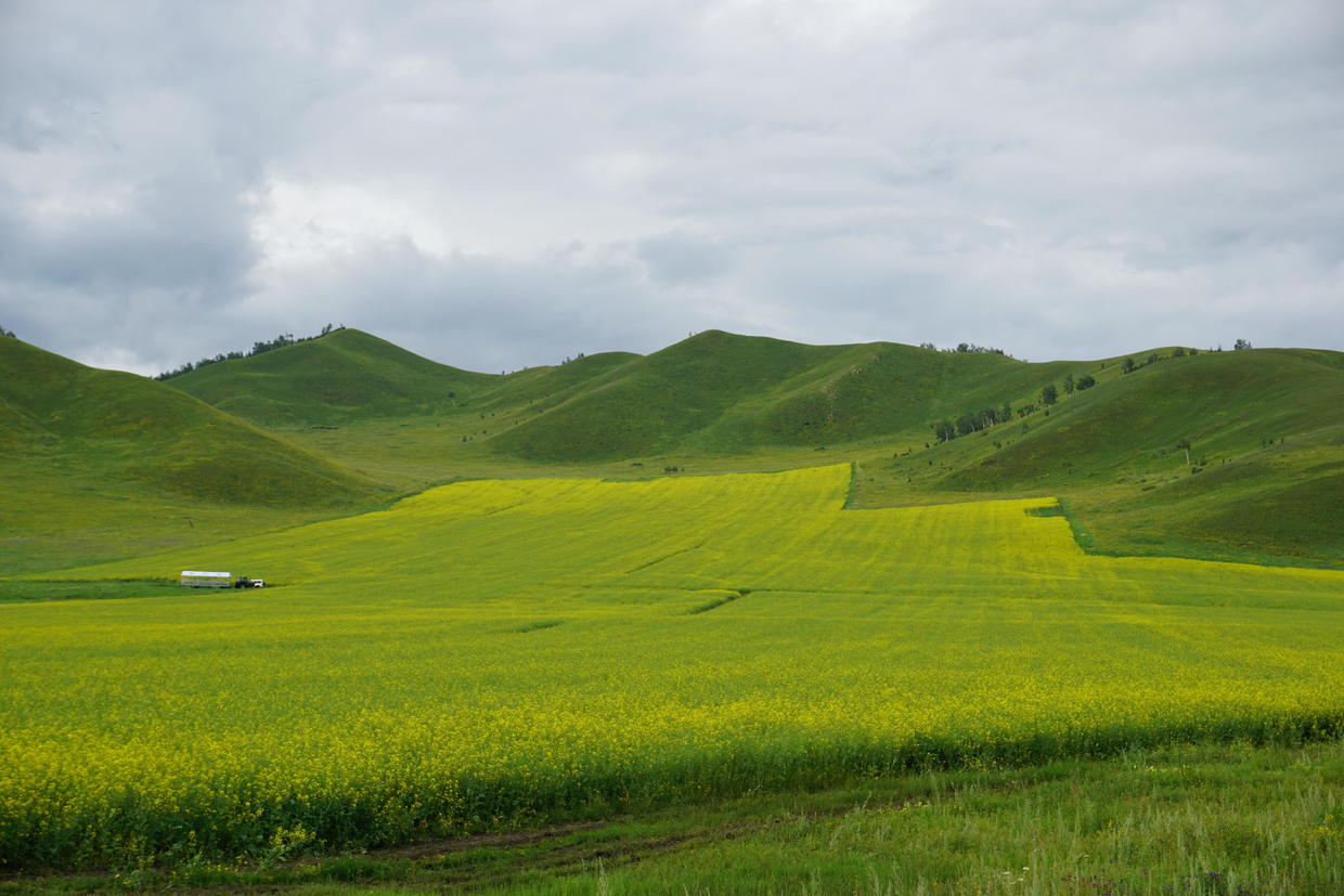 自駕遊呼倫貝爾草原第六天,黑山頭去恩和,唯一的俄羅斯民族鄉