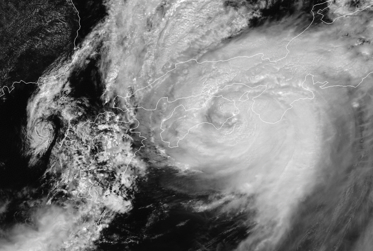 骂我找了个火夫男朋友怎么回复？