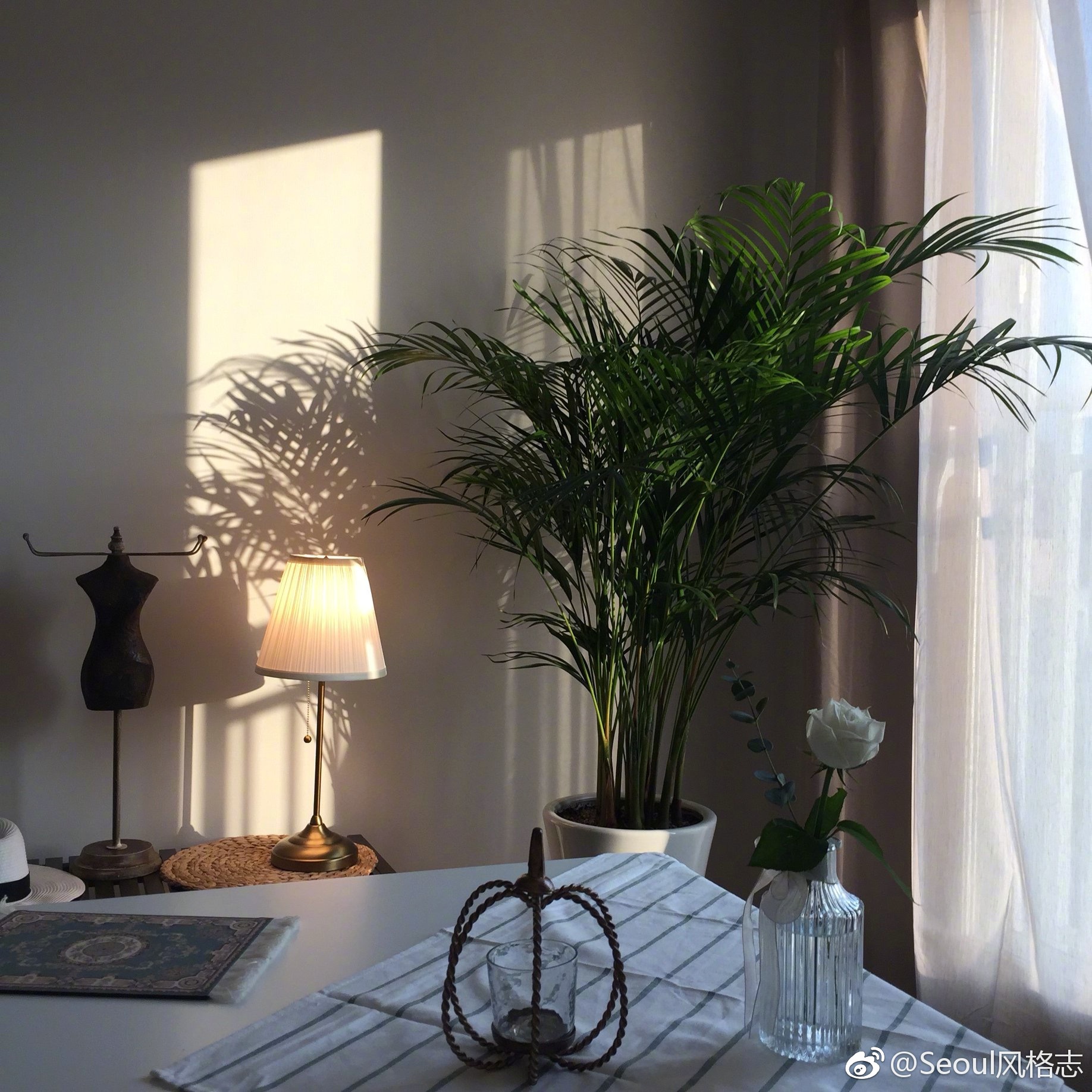 用绿植做为点睛之笔,增添房间的健康气息.