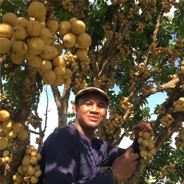 拳王播求生活什么样?身价过亿还骑摩托,日常生活接近原始人