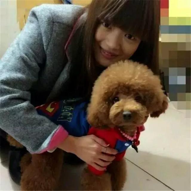 狗狗|泰迪|女生_新浪网