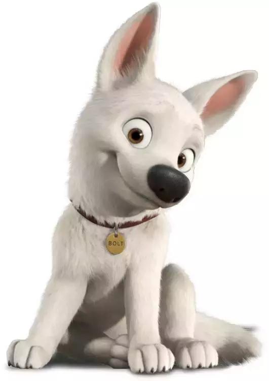 有没有被动画片中的狗狗萌到呢,给大家盘点一下它们是什么品种吧