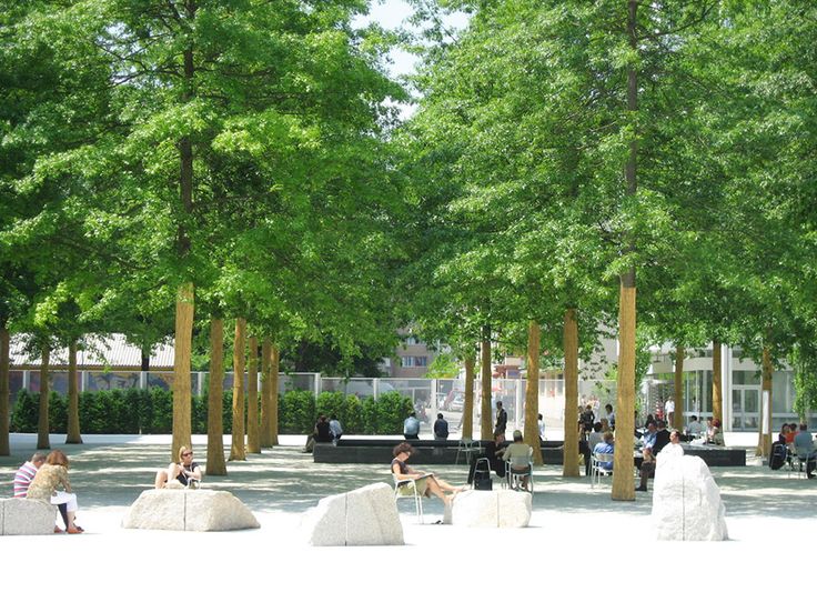 每日案例分享 | 林下休憩空间