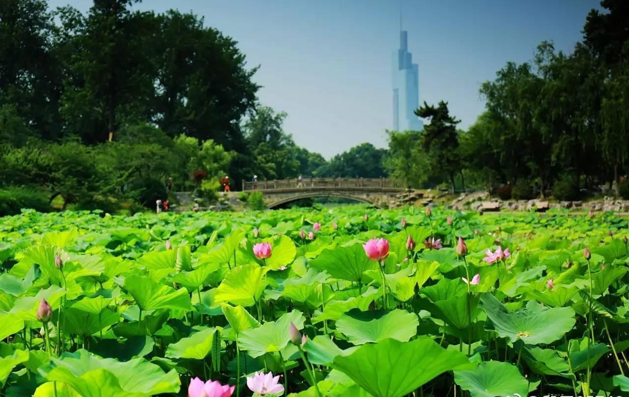 南京约的特别多