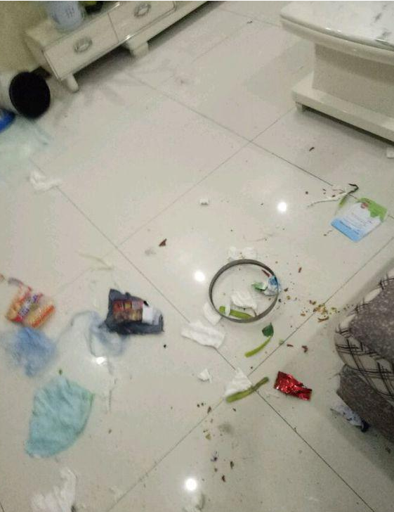 金毛专搞破坏,家里一片狼藉,主人无奈之下果断买了狗笼子!