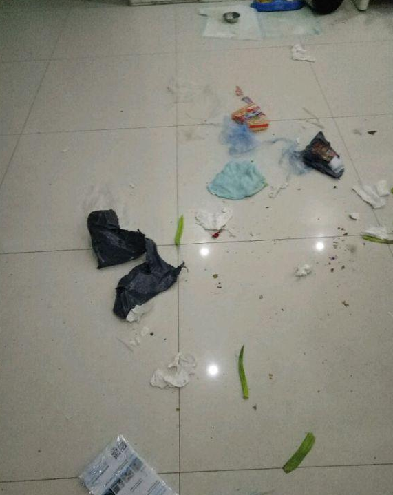 金毛专搞破坏,家里一片狼藉,主人无奈之下果断买了狗笼子!