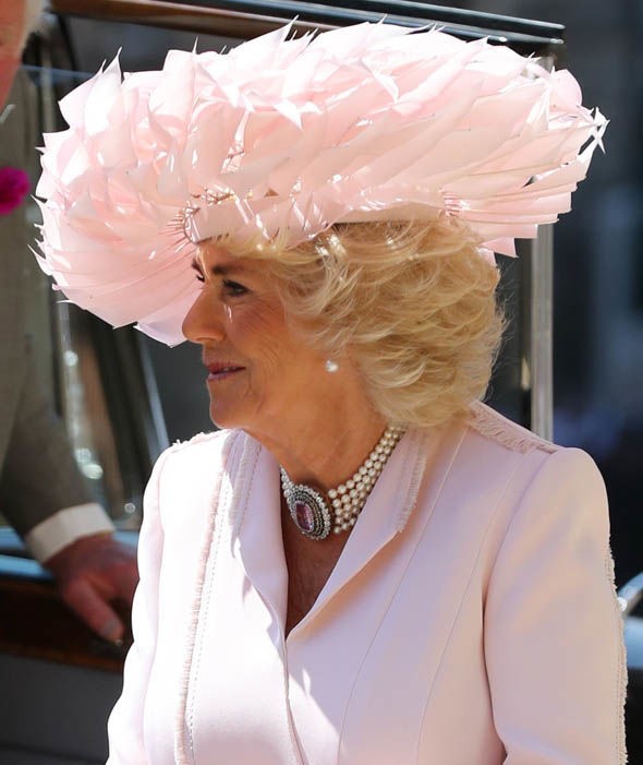 有网友说,卡米拉的最好看,贝嫂维多利亚的最难看,你怎么看?