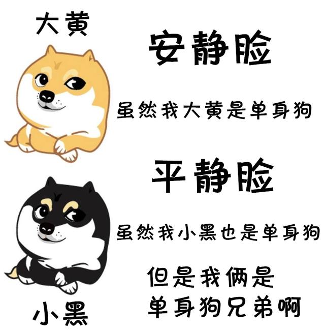 有趣表情包我凭实力叫单身狗有些话有必要说一说