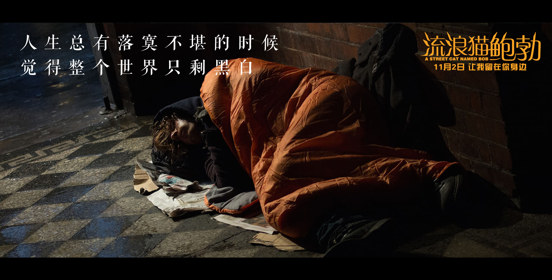 一个生活窘迫的流浪汉遇上一只霸气侧漏的橘猫