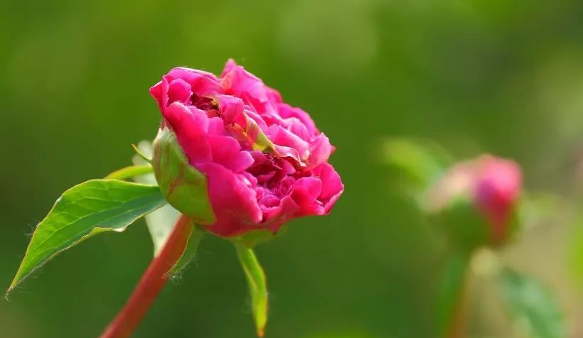 夜深人静睡不着的句子说说心情 表达失眠的经