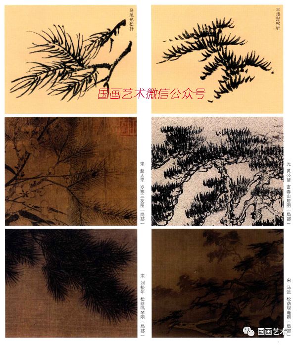 图文教程：松树的画法解析|松针|松树|松干_新浪新闻