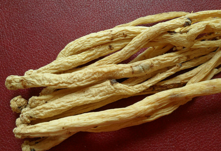 党参含多种人体必须的氨基酸