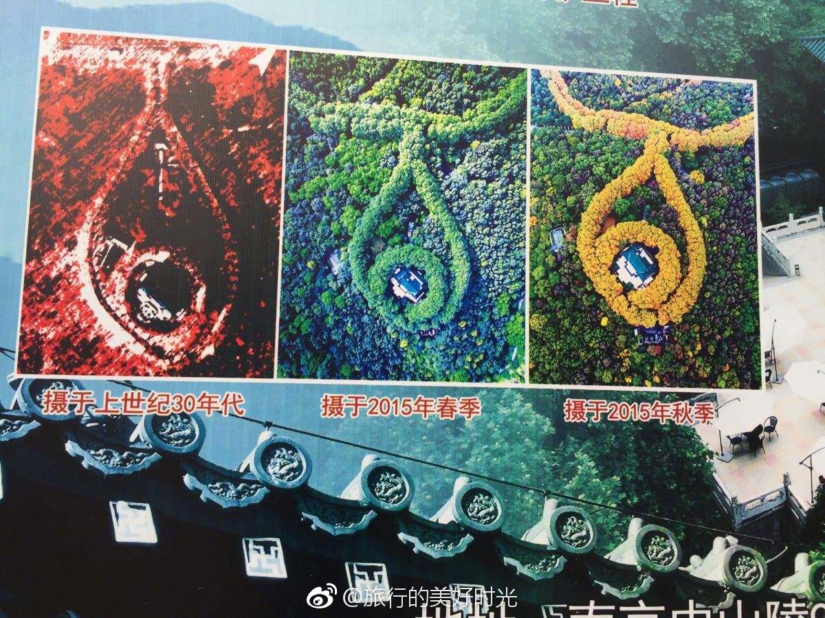 美龄宫最美项链我想是蒋公送给宋美龄最美的承诺了|美龄宫|宋美龄