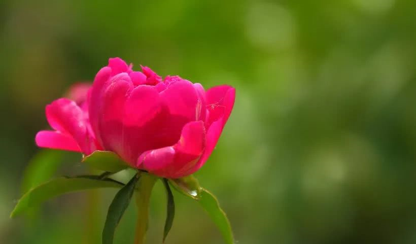 夜深人静睡不着的句子说说心情 表达失眠的经