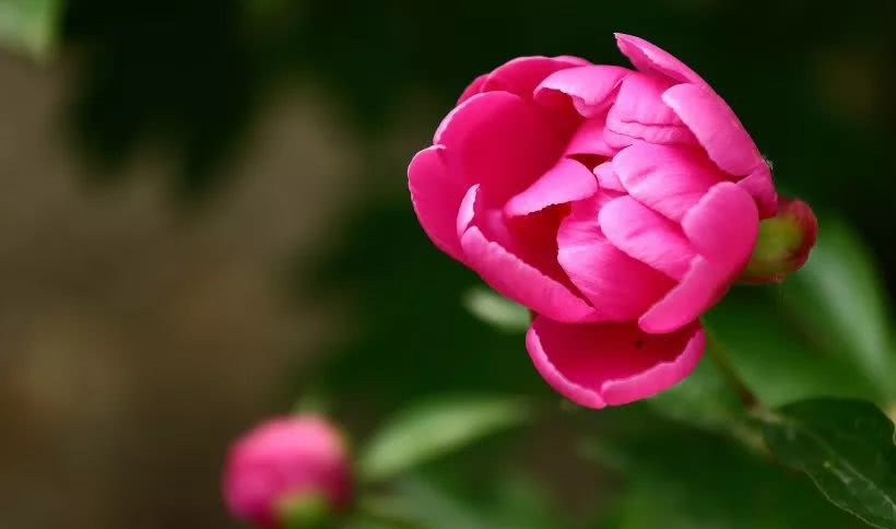 夜深人静睡不着的句子说说心情 表达失眠的经