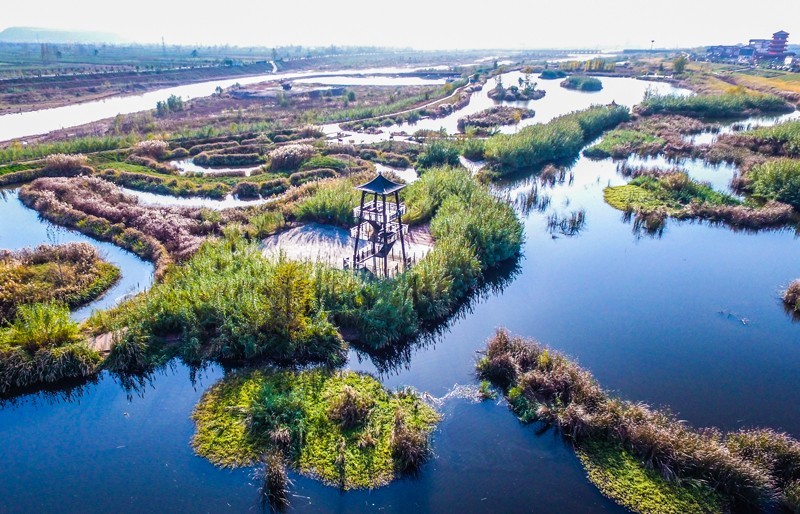 陕西百镇建设重点镇蔡家坡 美丽中国的关中样本