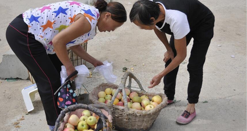 农民夫妻赶集从10元5斤到1元1斤卖不动: 儿子等钱买房娶媳妇