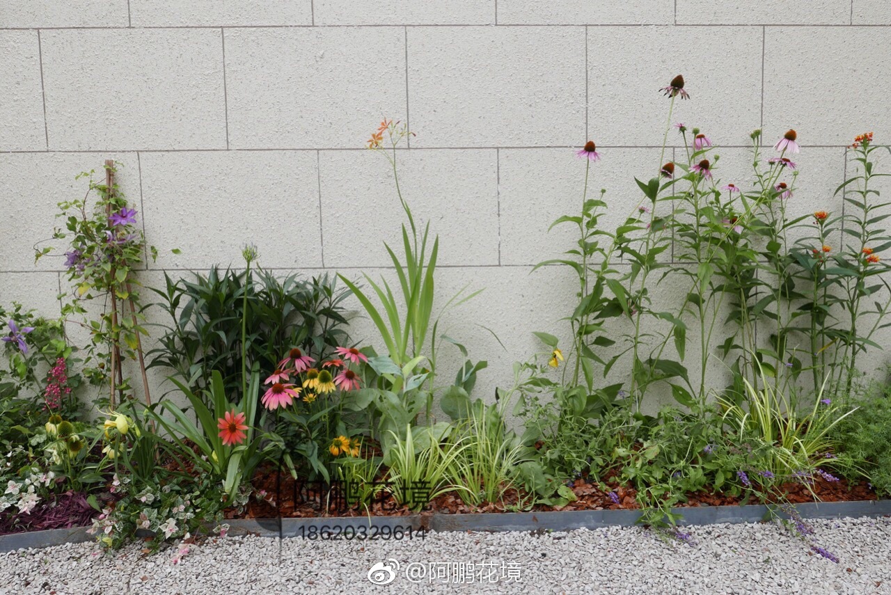 今天刚完工的小花园后院,整体北欧风格,冷色调为主,淡淡的