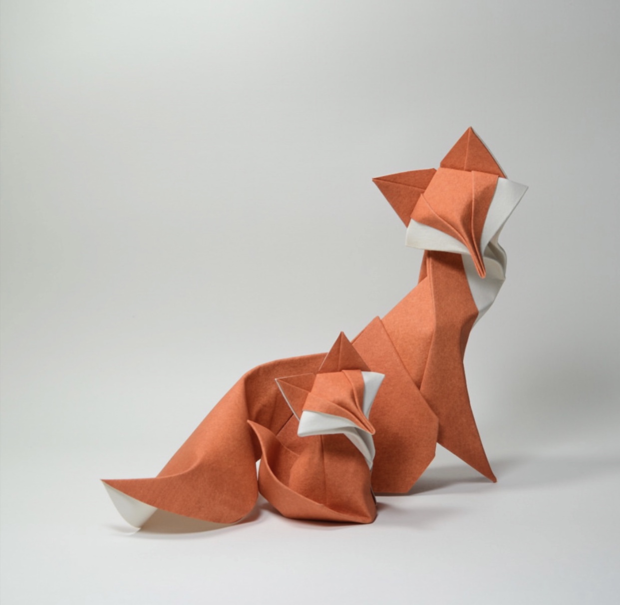 惟妙惟肖的折纸艺术图片越南艺术家hoàngtiénquyét