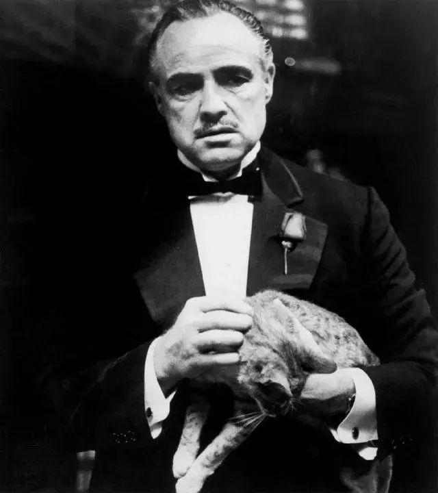 幼小!代孕教父"万事如意"-第1张图片-西卡博客