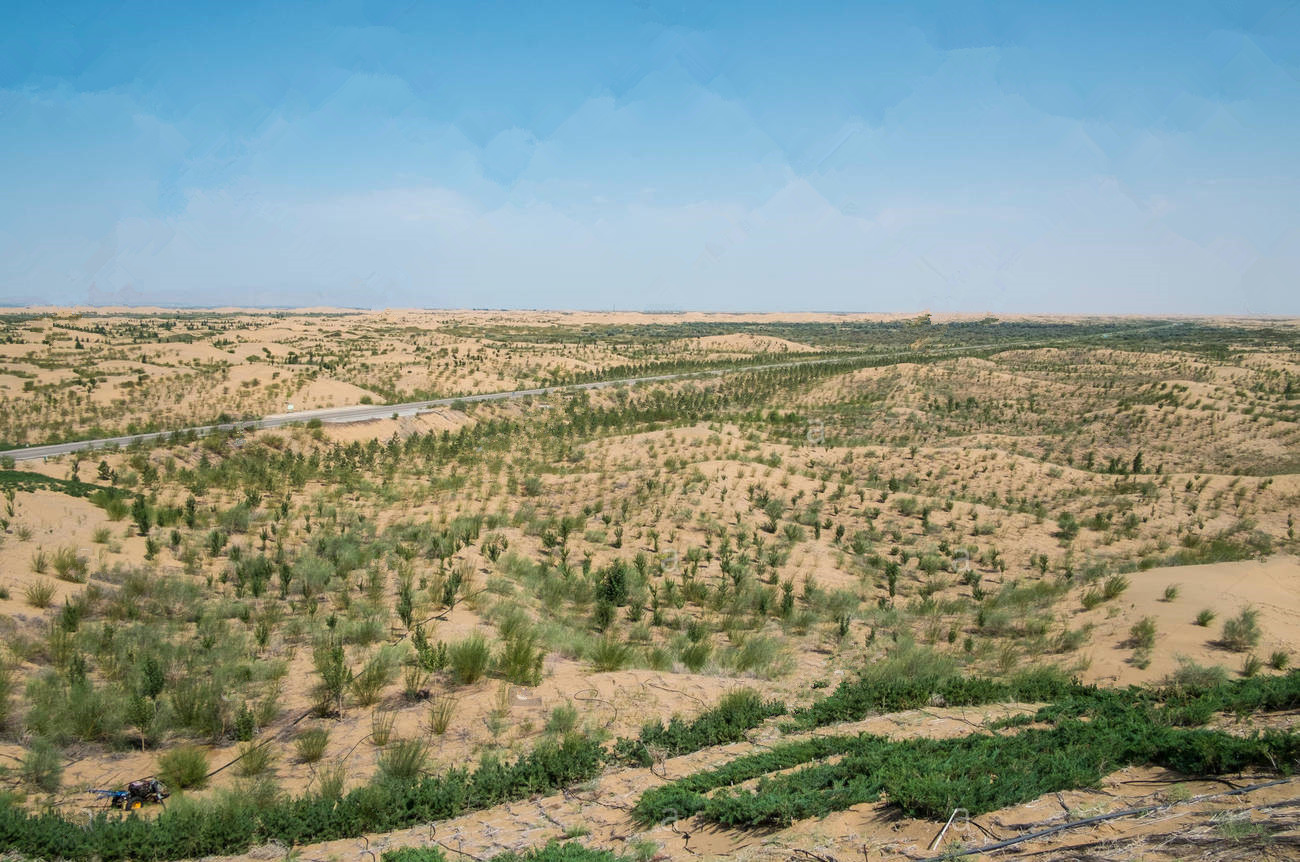 人类又一次创造奇迹,问沙漠要绿地|绿地|沙漠|毛乌素沙漠_新浪新闻