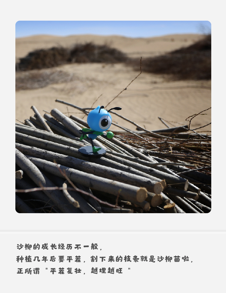 蚂蚁森林咋回事呢!种树这么大的事儿怎么没给我说!再这样的话