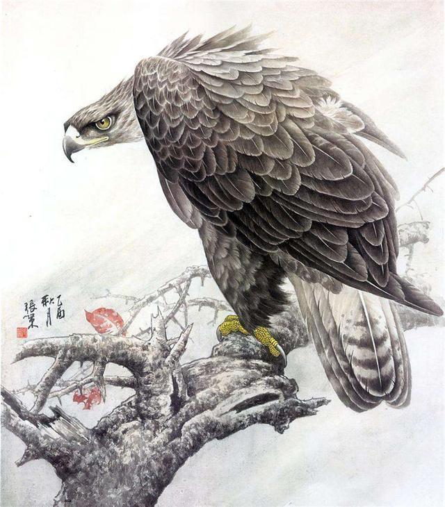 中国画鹰第一人图片
