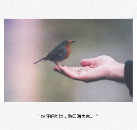 我们常说，人与人之间的相处需要时间，需要磨合，需要包容
