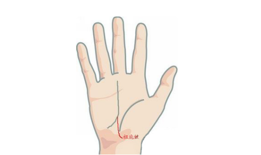 祖庇纹祖庇纹起于坎宫与事业线相连,手上有此纹路的人,祖业殷实,先天