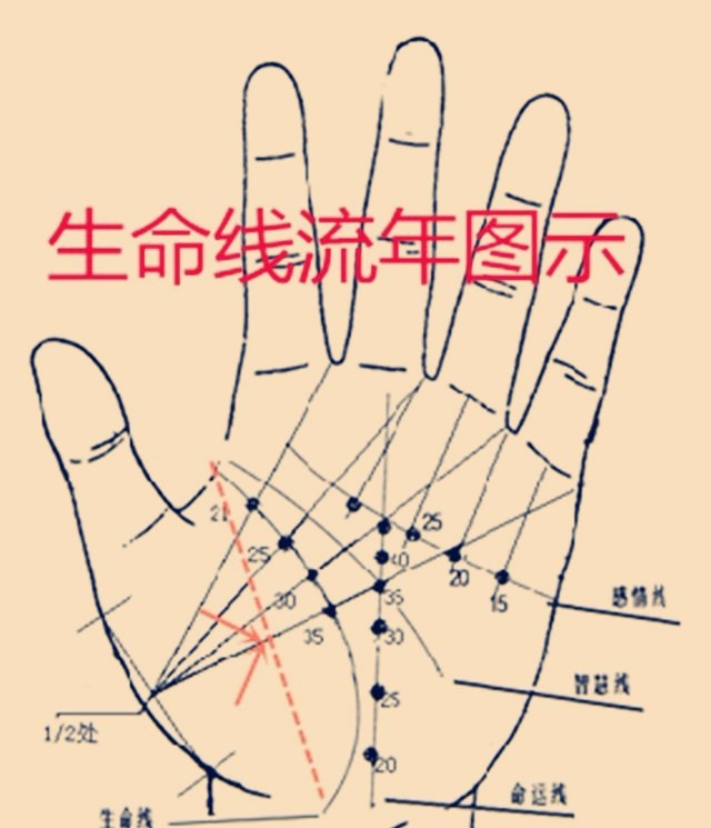 手相中生命线的解释之三双重生命线具有逢凶化吉的功能