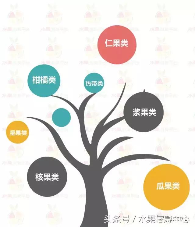 水果品类专业分类(7大品类)上篇