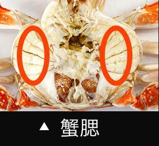 小厨告诉你螃蟹哪个部位不能吃,现在知道还不晚