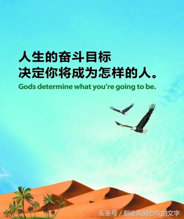 早安正能量语录集正能量早安语录