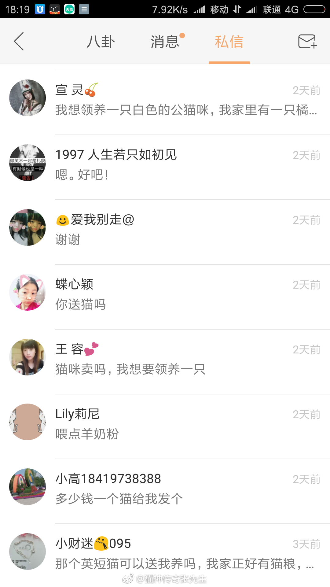 抖音和快手上每天的私信里评论里全是要领养猫的