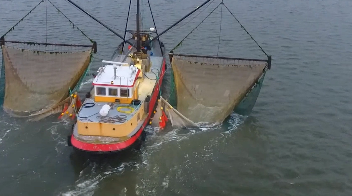 这是世界上最大的渔船?一网下去捞300吨鱼,为何是大海的噩梦