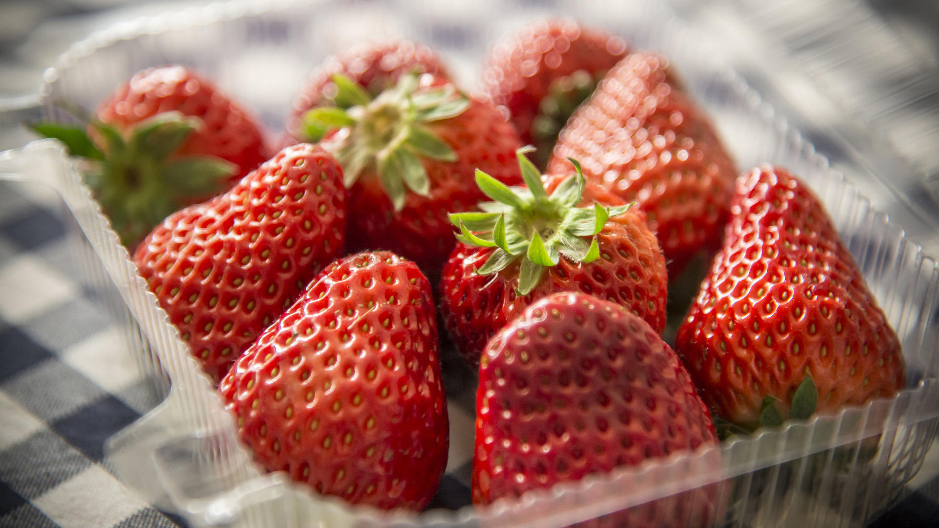 夏季哪些孕妈妈可以吃西瓜?哪些孕妈妈不能吃呢?