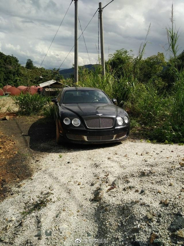 缅甸和老挝边境地区有很多人大面积种植香蕉