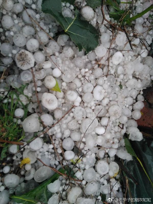 沈阳辽中区辽中镇2018年6月27日中午130时左右短时冰雹