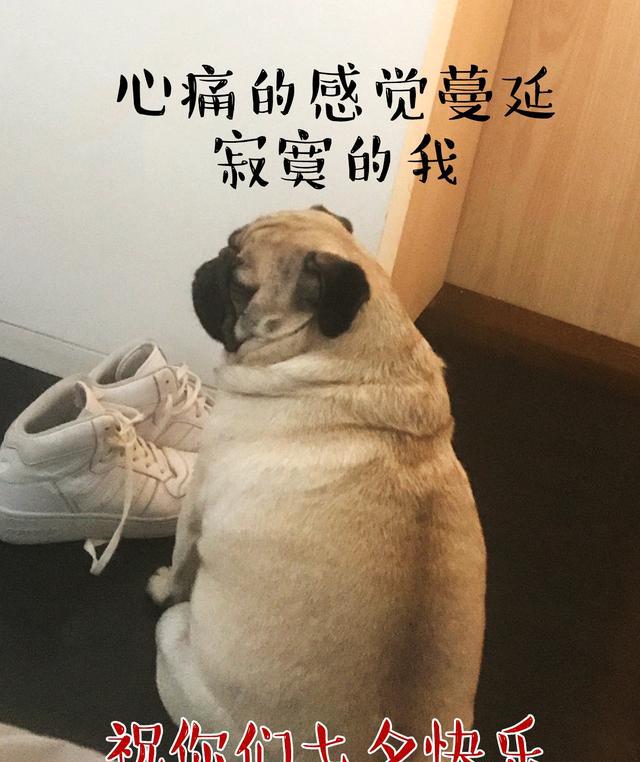 巴扎黑:我最受不了的事情,就是瘦不了
