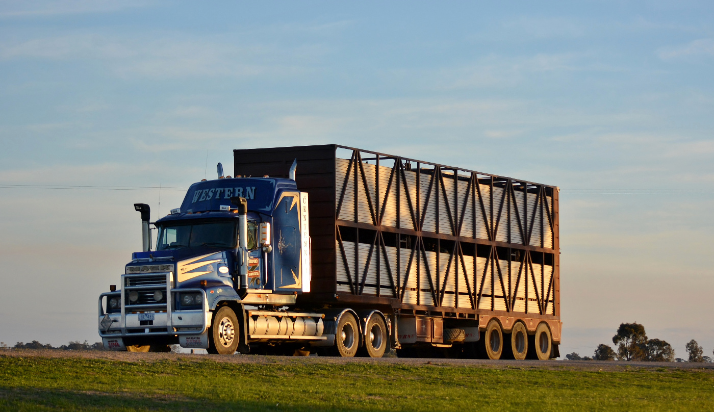 纽约斗牛犬:美国mack卡车品鉴-新浪汽车