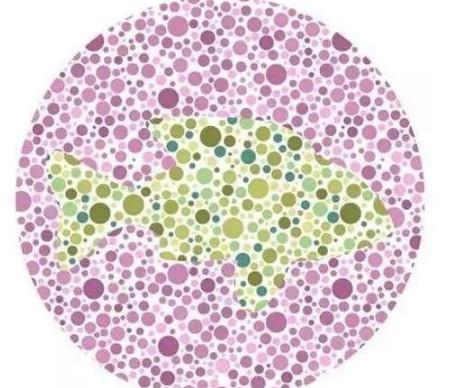 驾校色盲眼力考察,如果你只能看到数字8和66,估计要哭了