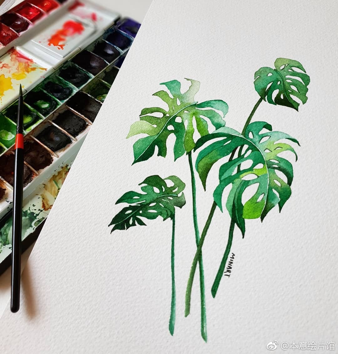 艺术家mina植物水彩作品一组饱满且生动insminartillust
