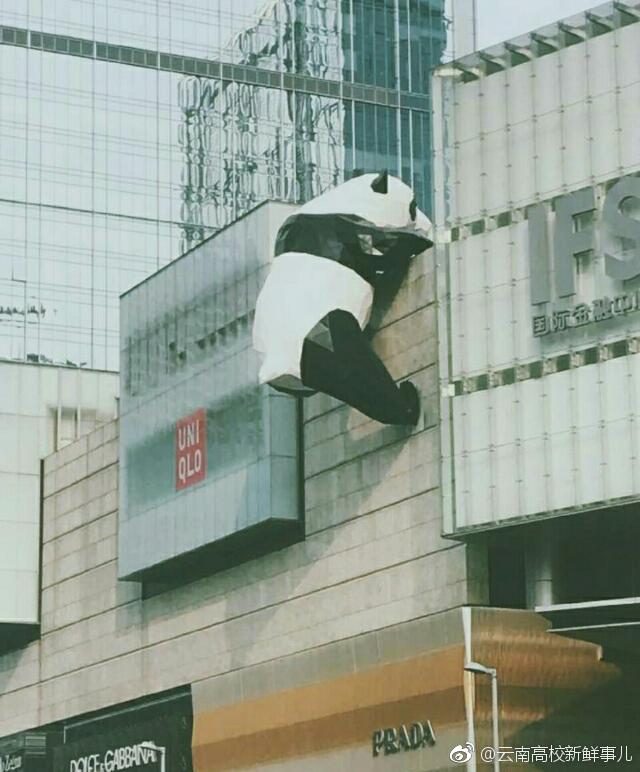 在线教育平台风起云涌:免费课程成为行业新宠