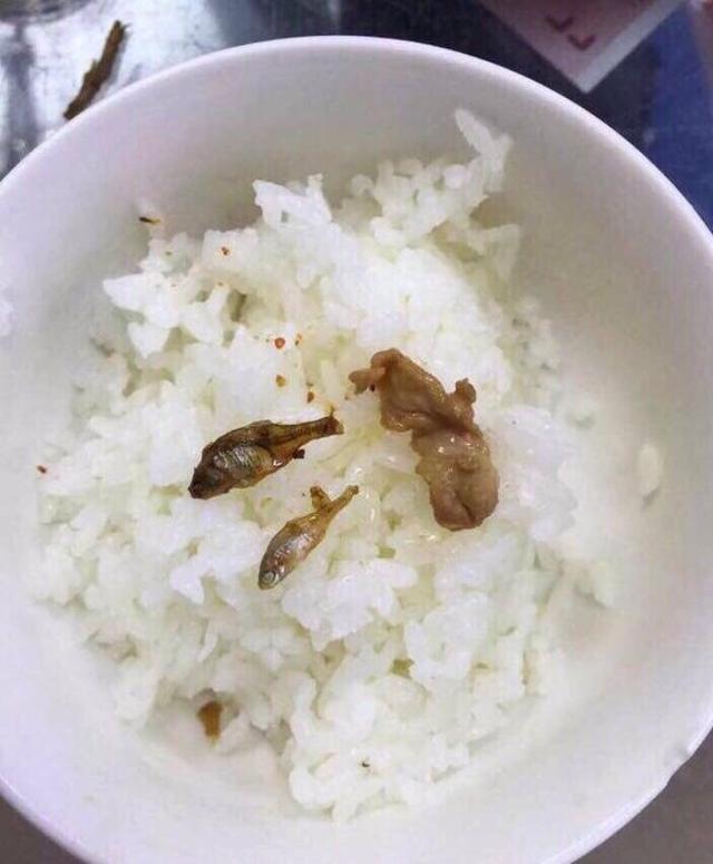 来看看那些奇葩食物