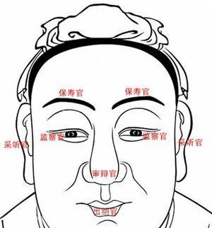第一官,保寿官(眉)眉,是两眼的华盖,表现整个面部的仪表,又叫眼睛的